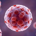 Inflammation in Aging