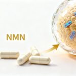 NMN (Nicotinamide Mononucleotide)