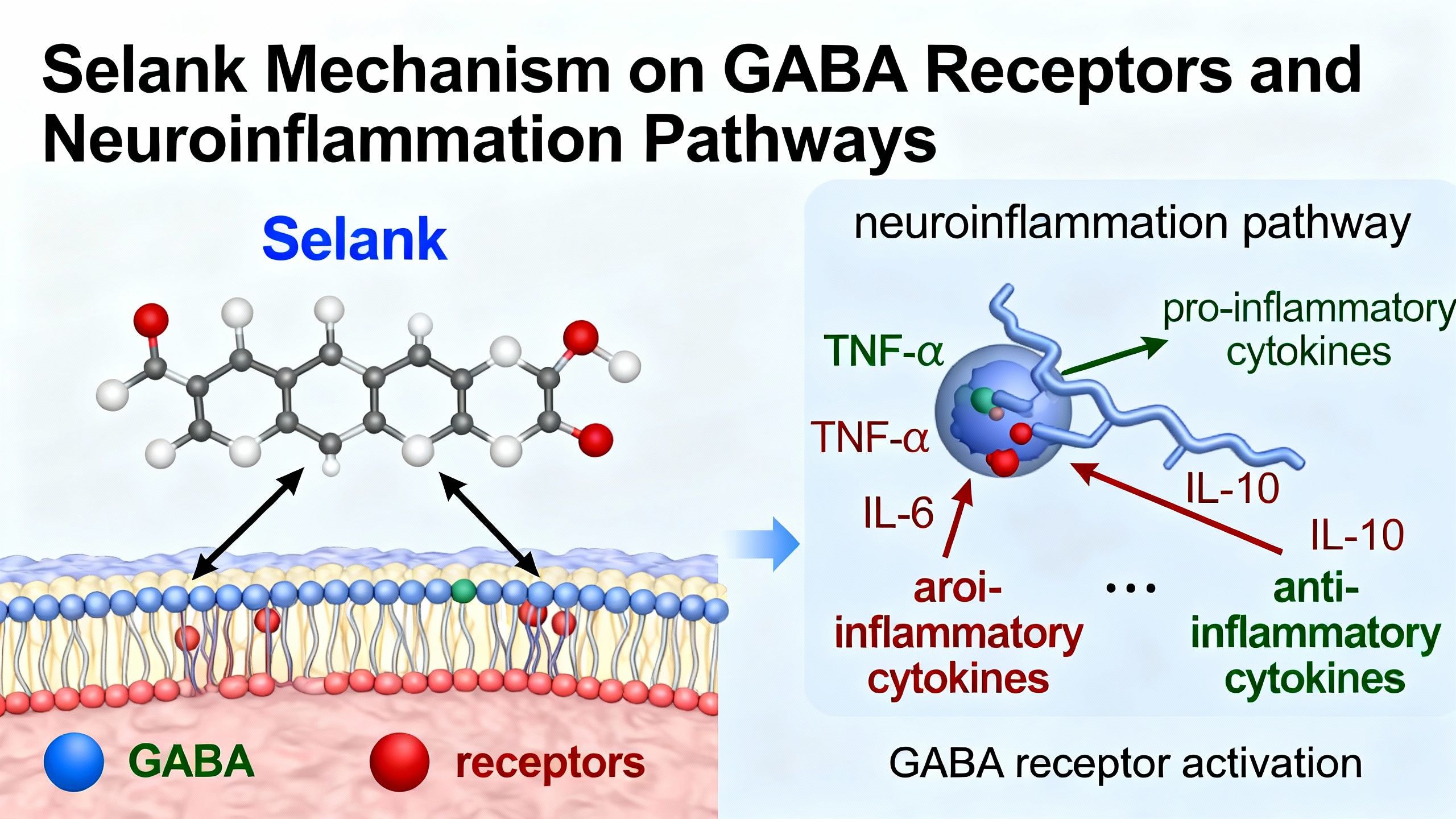 Diagram showing Selank’s mechanism on GABA receptors and neuroinflammation pathways