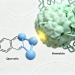 quercetin with bromelain
